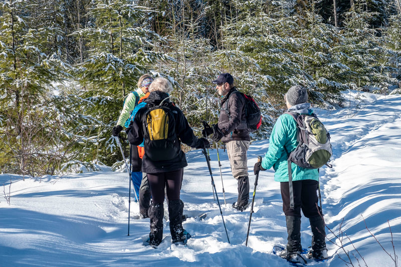 Snowshoeing Group - February 17 - Glacier PROBUS Club - 10 Years in the ...